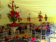 Marquee Hire Services in Salisbury