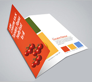 Design your Folded Leaflet Today with Printwin